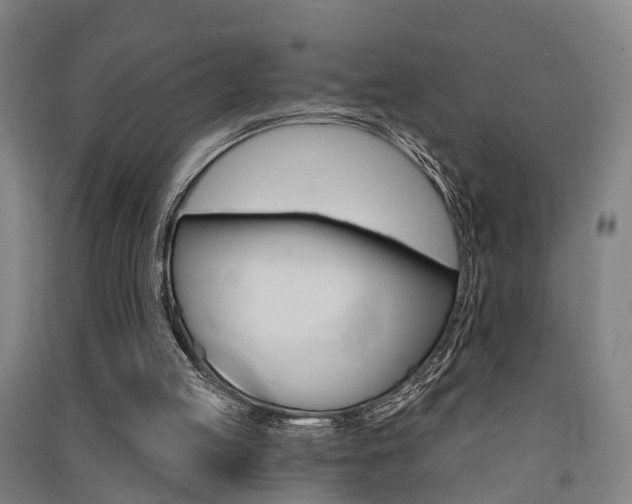 X0000091510053200708170957