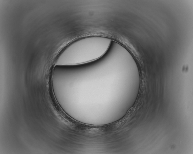X0000091510058200708170957