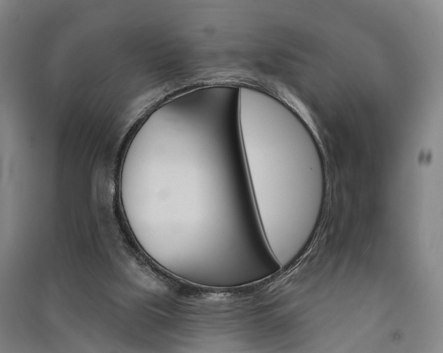 X0000091510059200708170957
