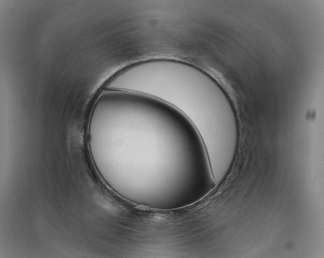 X0000091510060200708170957