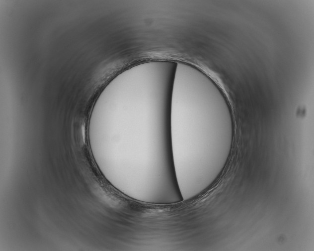 X0000091510061200708170957