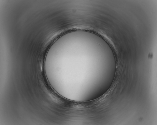X0000091510062200708170957