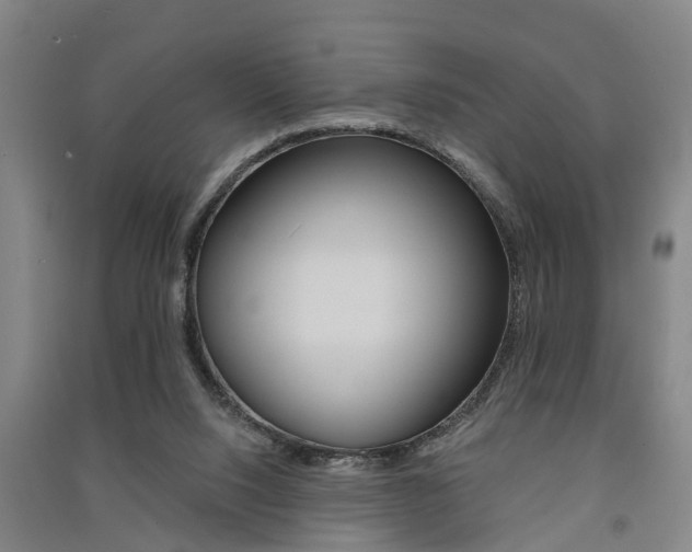 X0000091510064200708170957