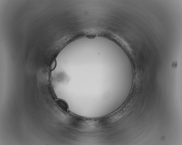 X0000091510065200708170957