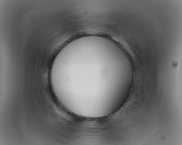 X0000091510066200708170957