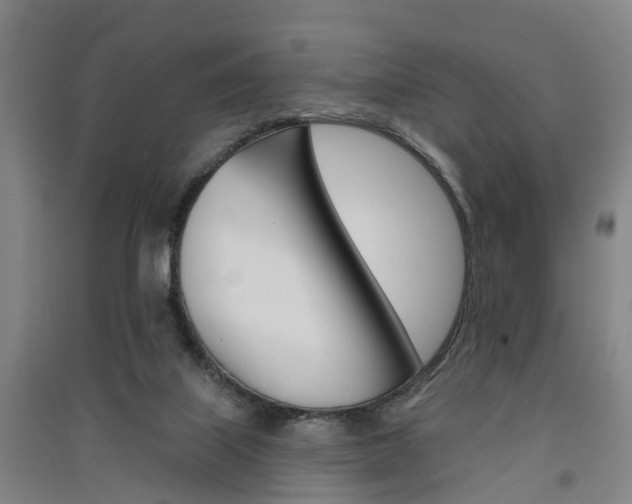 X0000091510067200708170957