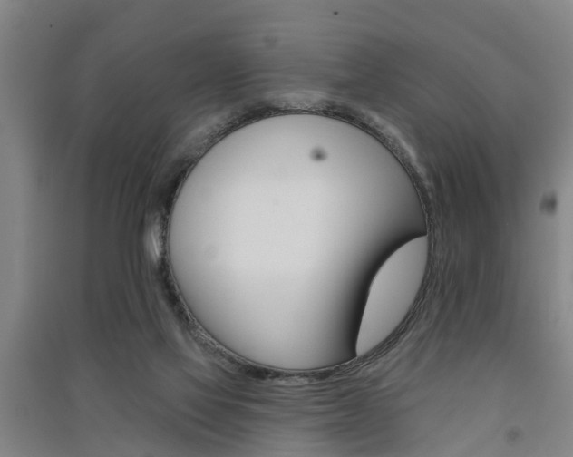 X0000091510069200708170957