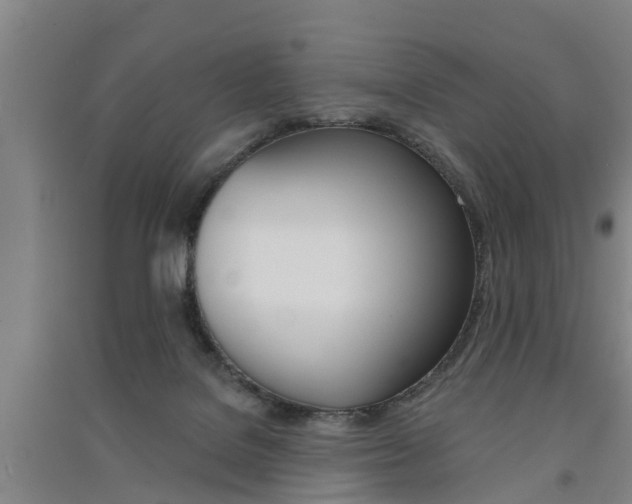 X0000091510076200708170957