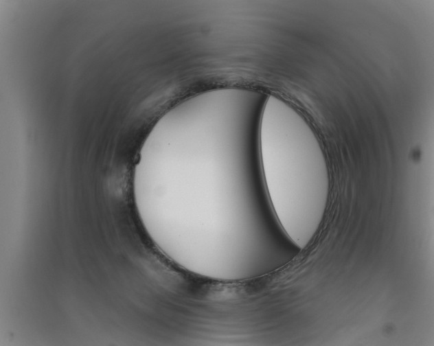 X0000091510077200708170957