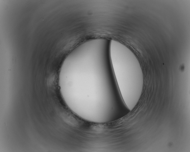 X0000091510079200708170958