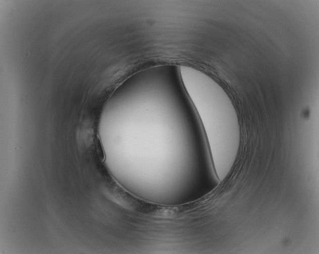 X0000091510080200708170958