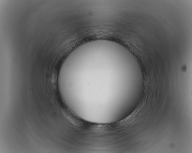 X0000091510082200708170958