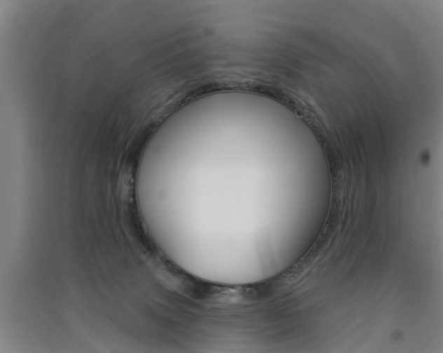 X0000091510083200708170958