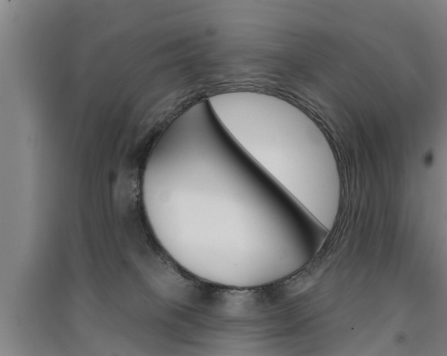 X0000091510085200708170958