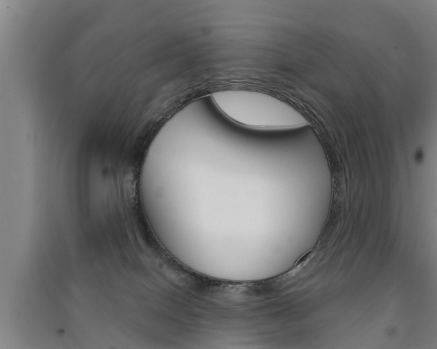 X0000091510086200708170958