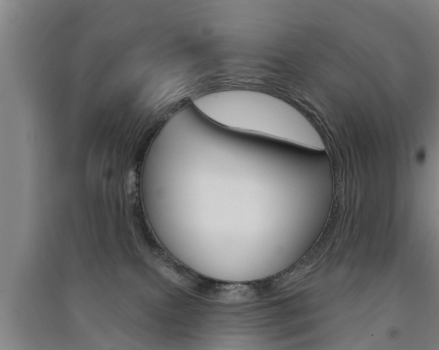 X0000091510087200708170958