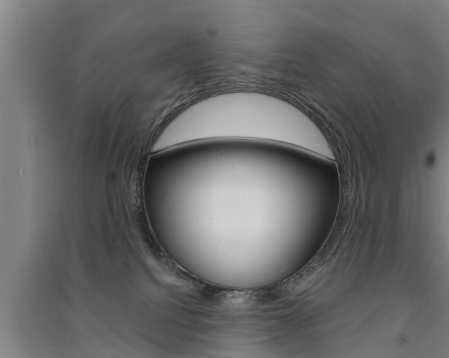 X0000091510088200708170958