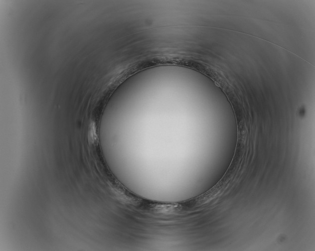 X0000091510089200708170958