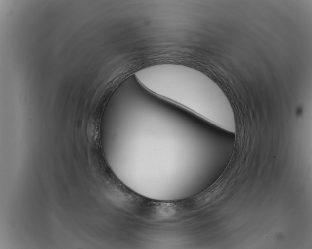 X0000091510091200708170958