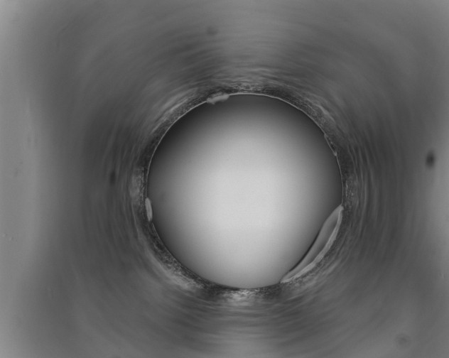 X0000091510092200708170958