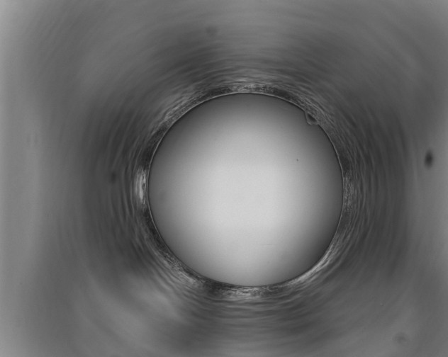 X0000091510094200708170958
