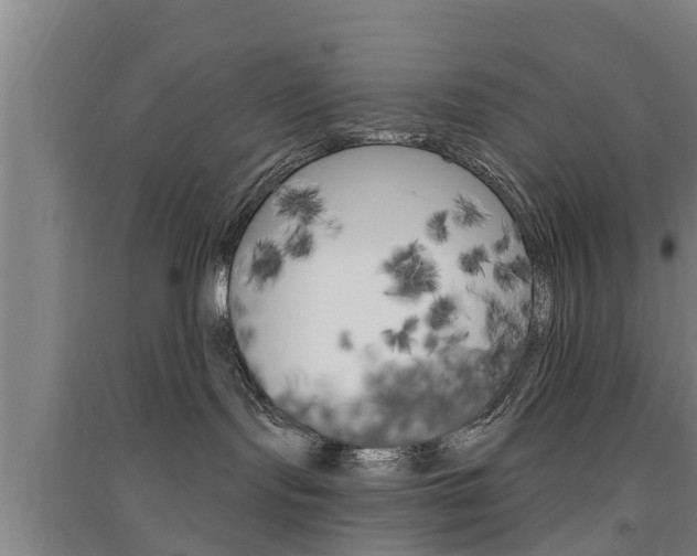 X0000091510095200708170958