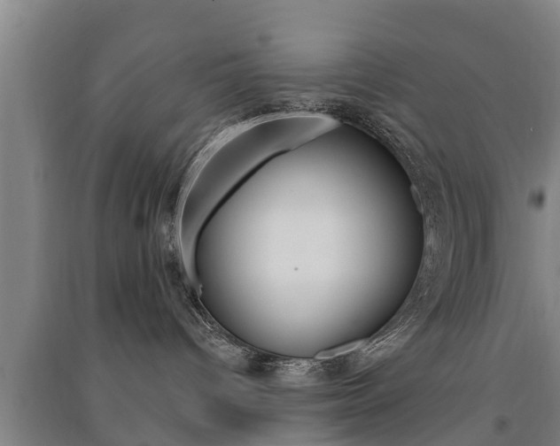 X0000091510096200708170958