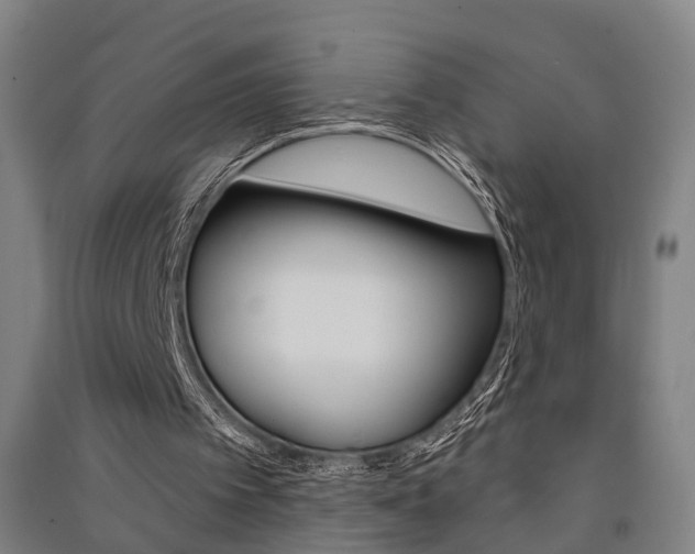 X0000091510097200708170957
