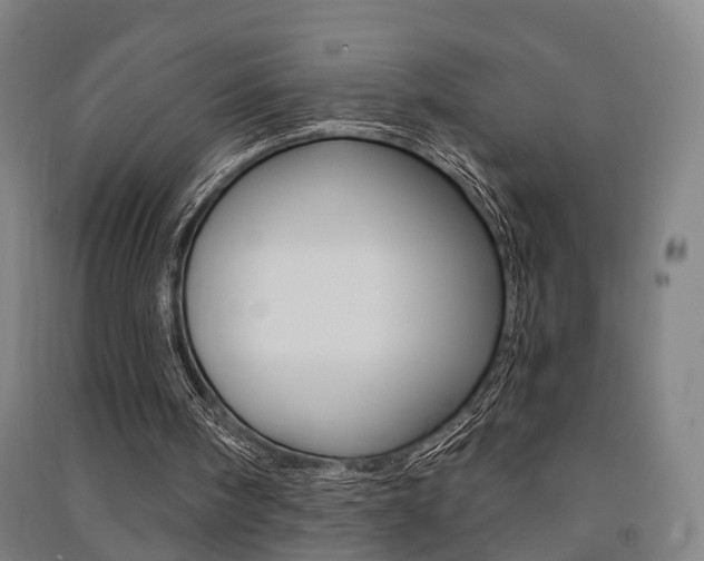 X0000091510098200708170957