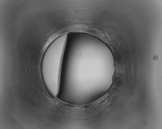 X0000091510099200708170957