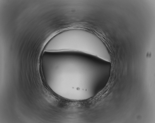X0000091510100200708170957
