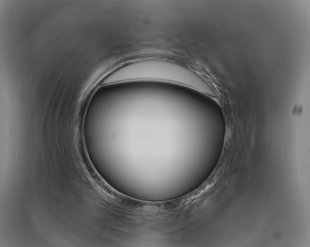 X0000091510101200708170957