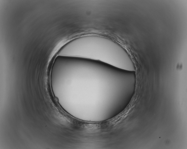 X0000091510102200708170957