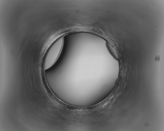 X0000091510103200708170957