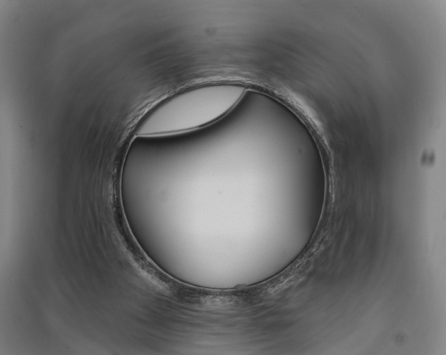 X0000091510105200708170957