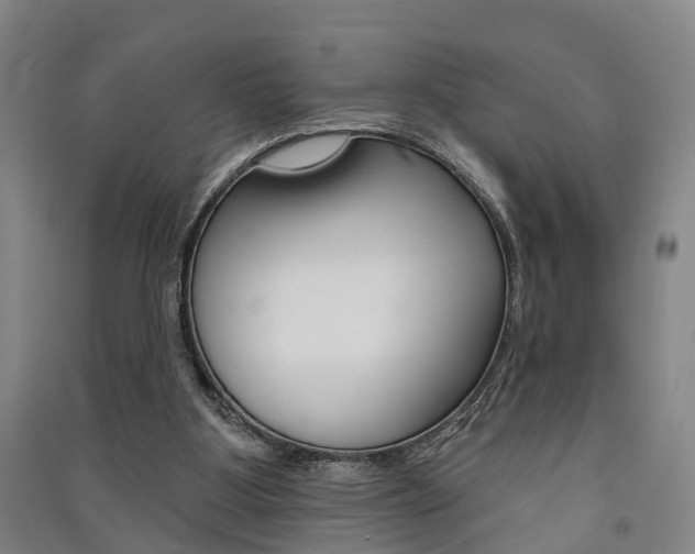X0000091510107200708170957