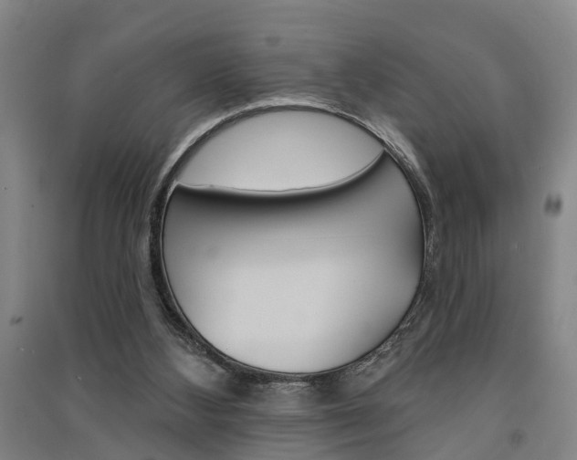X0000091510108200708170957