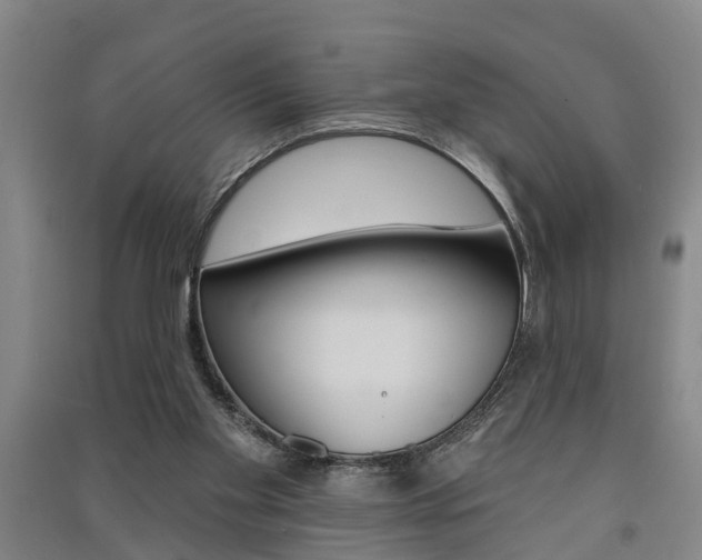 X0000091510109200708170957