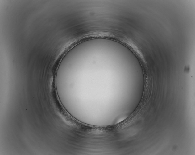 X0000091510110200708170957
