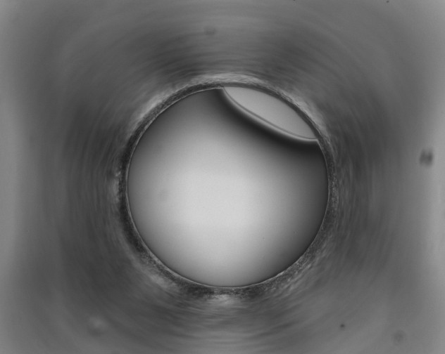 X0000091510111200708170957