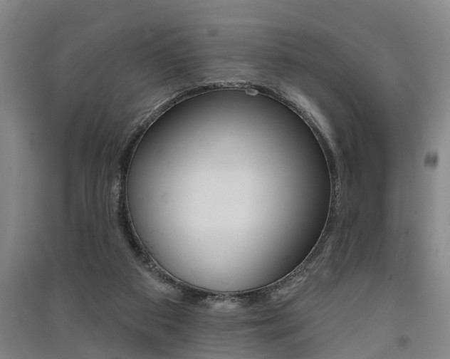 X0000091510113200708170957