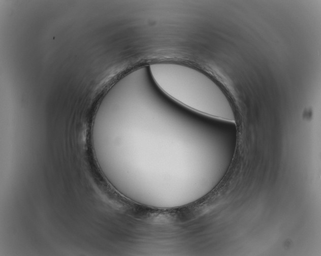 X0000091510115200708170957