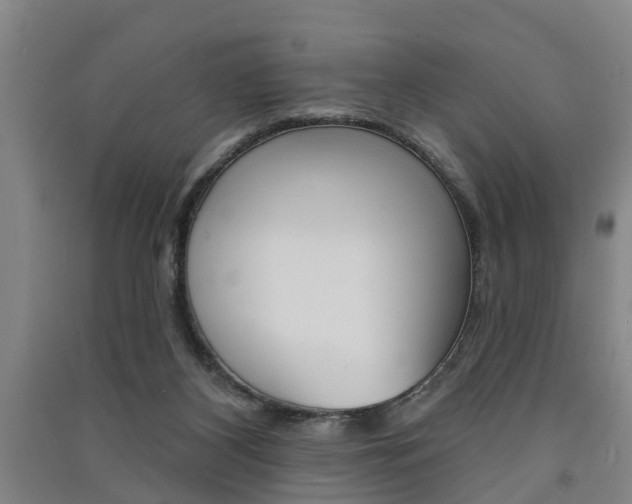 X0000091510116200708170957