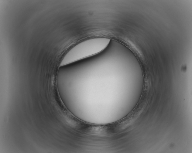 X0000091510117200708170957