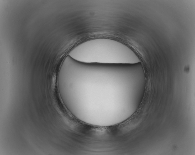 X0000091510118200708170957