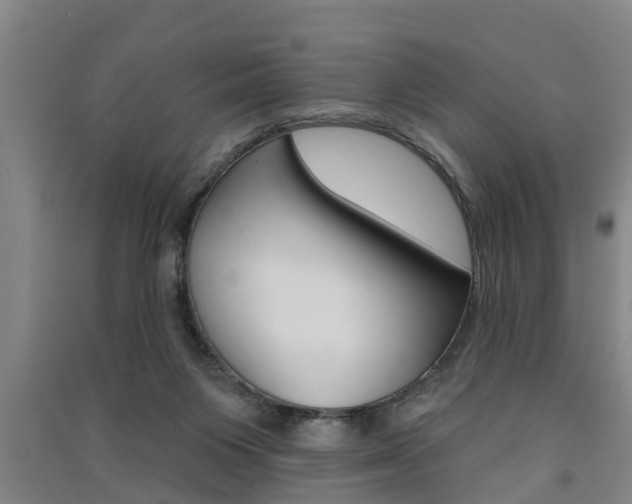 X0000091510119200708170957
