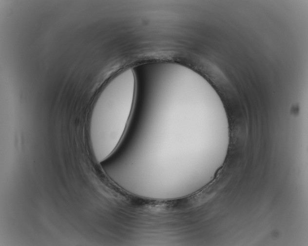 X0000091510120200708170957