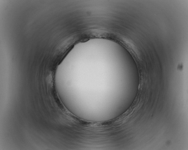 X0000091510121200708170957