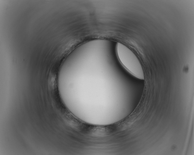 X0000091510123200708170957