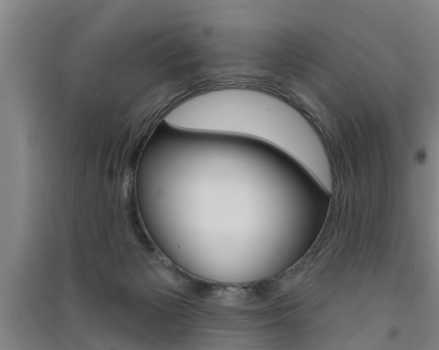 X0000091510125200708170957